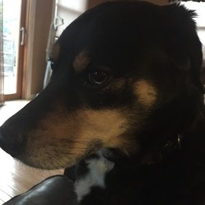 Meet your Posher, Diane